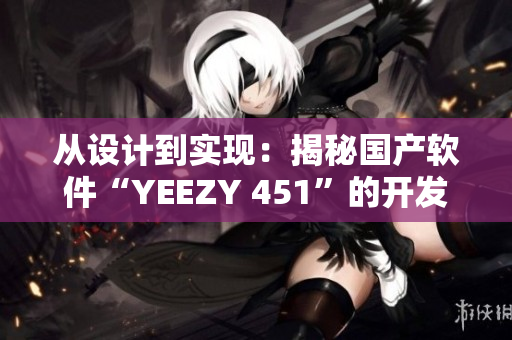 从设计到实现：揭秘国产软件“YEEZY 451”的开发过程