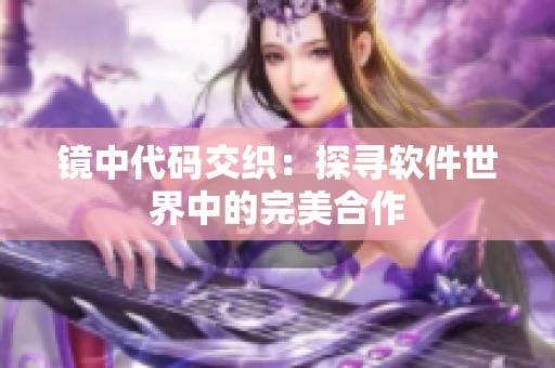 镜中代码交织：探寻软件世界中的完美合作