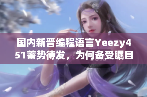 国内新晋编程语言Yeezy451蓄势待发，为何备受瞩目？