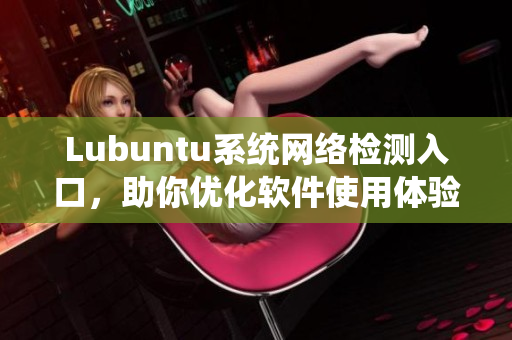 Lubuntu系统网络检测入口，助你优化软件使用体验