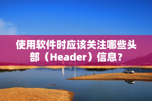 使用软件时应该关注哪些头部（Header）信息？