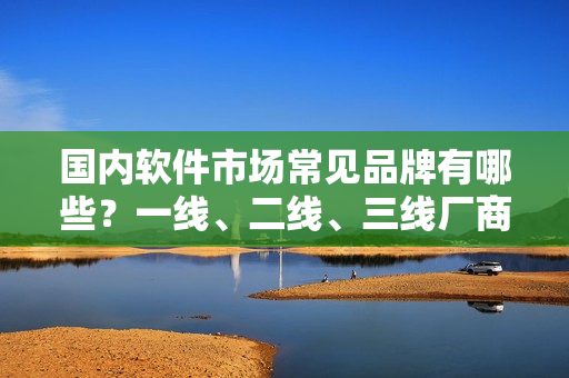 国内软件市场常见品牌有哪些？一线、二线、三线厂商大盘点