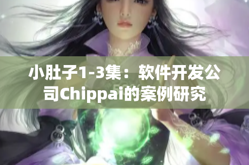 小肚子1-3集：软件开发公司Chippai的案例研究