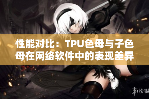 性能对比：TPU色母与子色母在网络软件中的表现差异