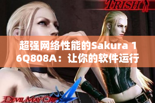 超强网络性能的Sakura 16Q808A：让你的软件运行更加稳定快速