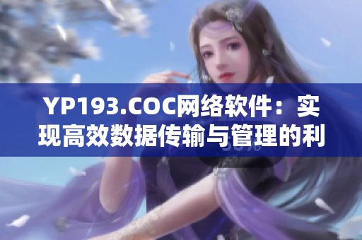 YP193.COC网络软件：实现高效数据传输与管理的利器