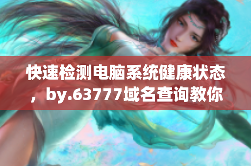 快速检测电脑系统健康状态，by.63777域名查询教你如何选择安全可靠的软件