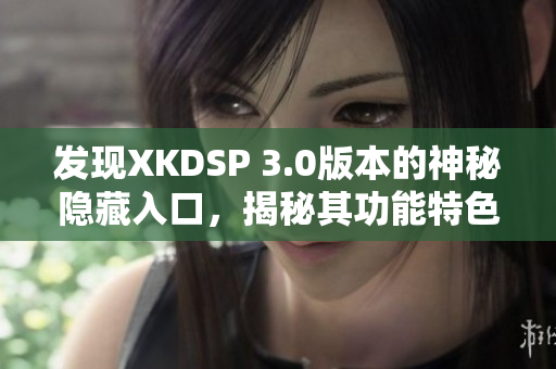 发现XKDSP 3.0版本的神秘隐藏入口，揭秘其功能特色