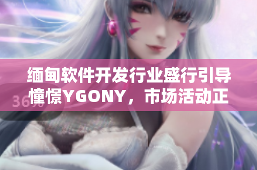 缅甸软件开发行业盛行引导憧憬YGONY，市场活动正加速发展