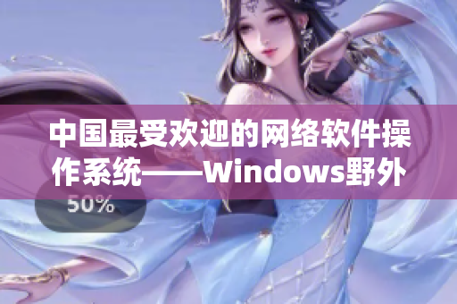 中国最受欢迎的网络软件操作系统——Windows野外深度解析