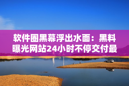 软件圈黑幕浮出水面：黑料曝光网站24小时不停交付最新黑料事件