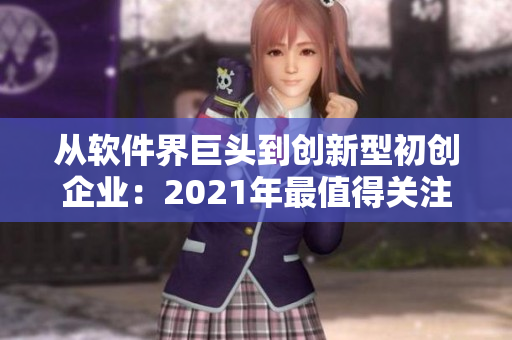 从软件界巨头到创新型初创企业：2021年最值得关注的软件公司前瞻