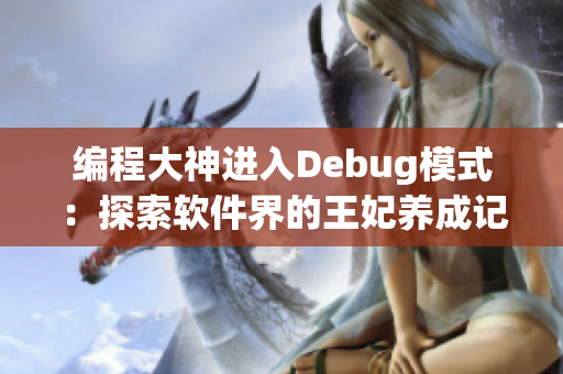 编程大神进入Debug模式：探索软件界的王妃养成记