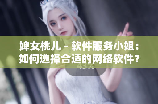 婢女桃儿 - 软件服务小姐：如何选择合适的网络软件？