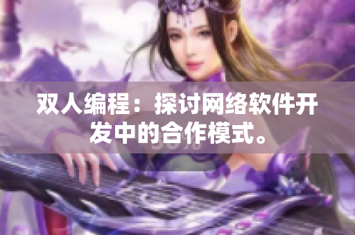 双人编程：探讨网络软件开发中的合作模式。