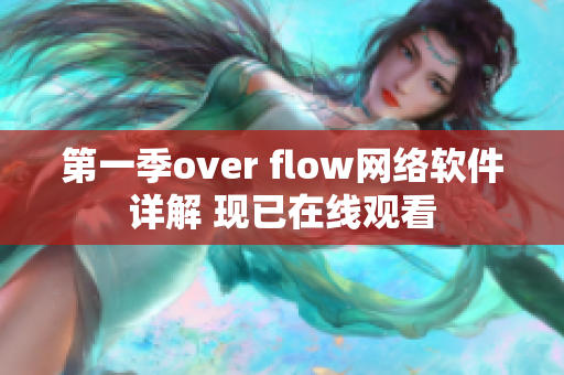 第一季over flow网络软件详解 现已在线观看