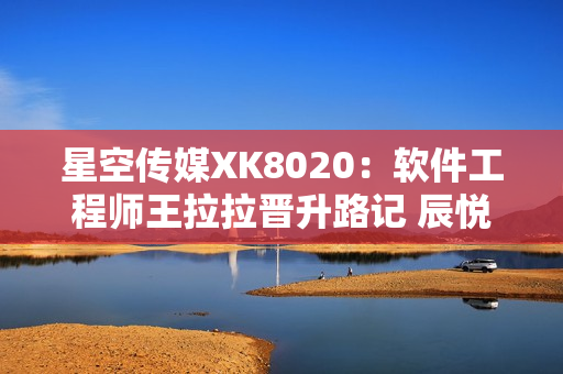 星空传媒XK8020：软件工程师王拉拉晋升路记 辰悦琳琅