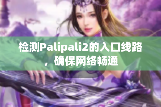 检测Palipali2的入口线路，确保网络畅通