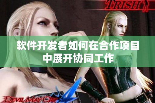 软件开发者如何在合作项目中展开协同工作