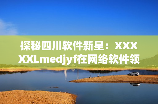 探秘四川软件新星：XXXXXLmedjyf在网络软件领域取得闪耀成就