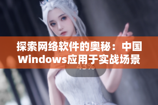 探索网络软件的奥秘：中国Windows应用于实战场景的成功之道