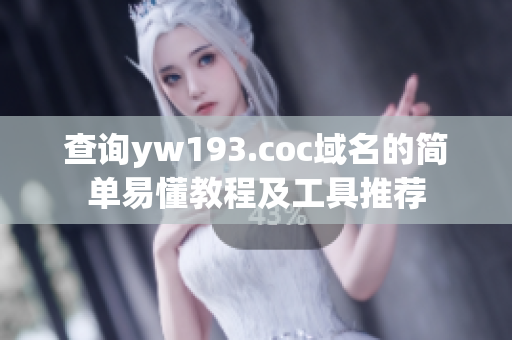 查询yw193.coc域名的简单易懂教程及工具推荐