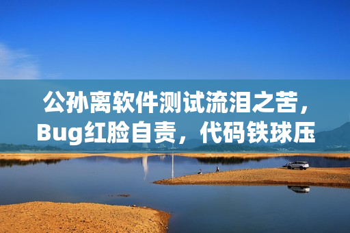 公孙离软件测试流泪之苦，Bug红脸自责，代码铁球压力山大