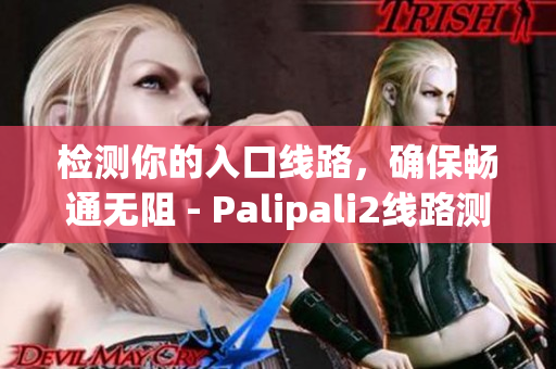 检测你的入口线路，确保畅通无阻 - Palipali2线路测试