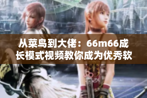 从菜鸟到大佬：66m66成长模式视频教你成为优秀软件工程师-大陆4