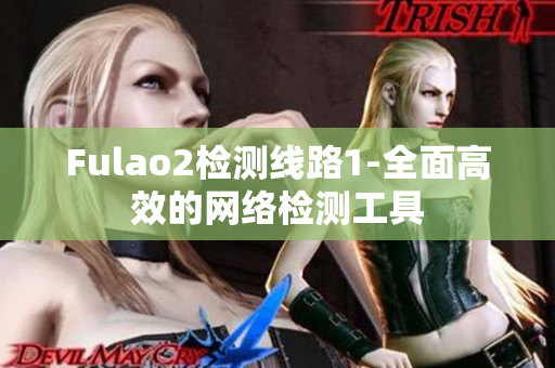 Fulao2检测线路1-全面高效的网络检测工具