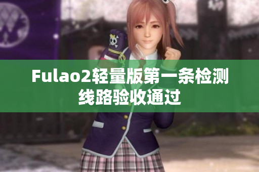 Fulao2轻量版第一条检测线路验收通过