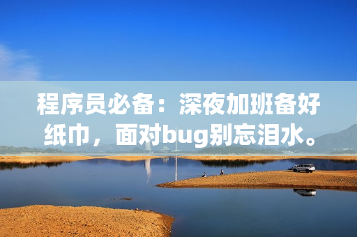 程序员必备：深夜加班备好纸巾，面对bug别忘泪水。