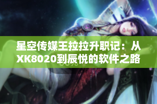 星空传媒王拉拉升职记：从XK8020到辰悦的软件之路