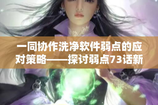 一同协作洗净软件弱点的应对策略——探讨弱点73话新看点