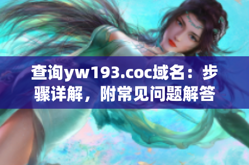 查询yw193.coc域名：步骤详解，附常见问题解答