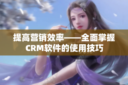 提高营销效率——全面掌握CRM软件的使用技巧