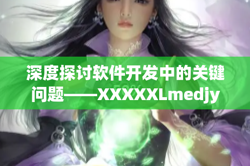 深度探讨软件开发中的关键问题——XXXXXLmedjyf解析与应用