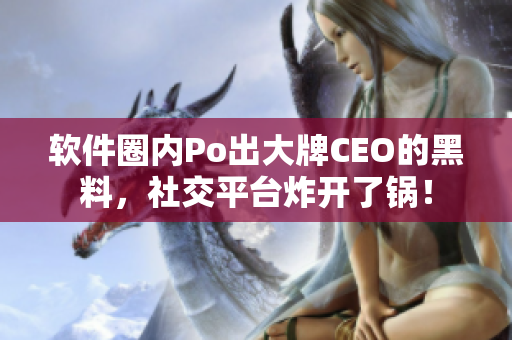 软件圈内Po出大牌CEO的黑料，社交平台炸开了锅！