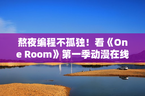 熬夜编程不孤独！看《One Room》第一季动漫在线观看缓解程序员疲劳