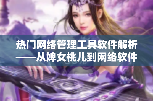 热门网络管理工具软件解析——从婢女桃儿到网络软件