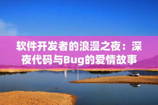 软件开发者的浪漫之夜：深夜代码与Bug的爱情故事