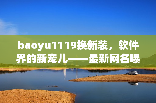 baoyu1119换新装，软件界的新宠儿——最新网名曝光！