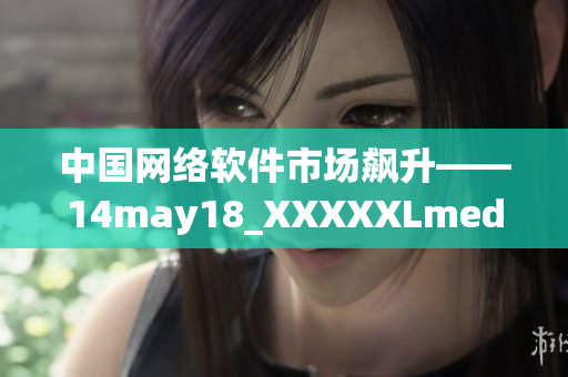 中国网络软件市场飙升——14may18_XXXXXLmedjyf