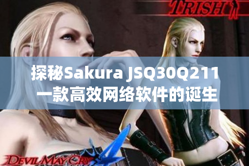 探秘Sakura JSQ30Q211 一款高效网络软件的诞生之路