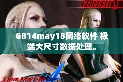 GB14may18网络软件 极端大尺寸数据处理。