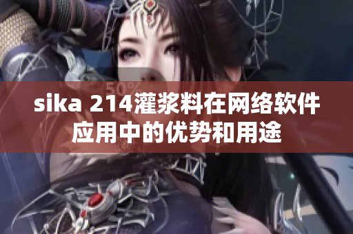 sika 214灌浆料在网络软件应用中的优势和用途