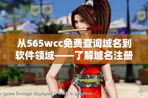 从565wcc免费查询域名到软件领域——了解域名注册软件