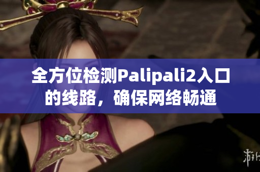 全方位检测Palipali2入口的线路，确保网络畅通