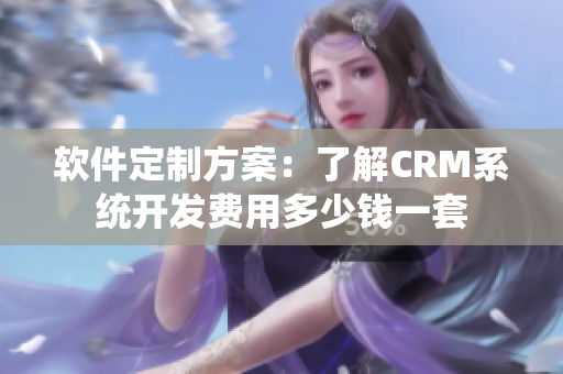 软件定制方案：了解CRM系统开发费用多少钱一套