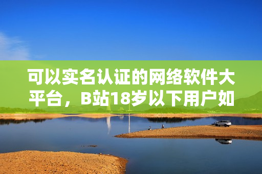 可以实名认证的网络软件大平台，B站18岁以下用户如何实名认证？